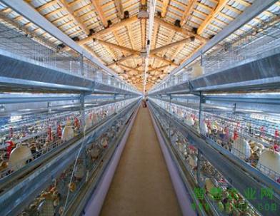 农业部:关于取消畜禽养殖标准化不合