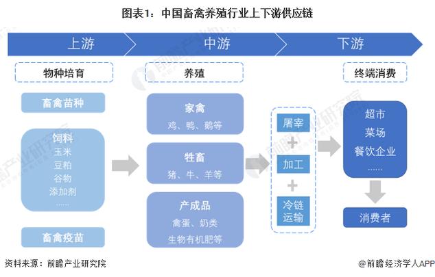 图表1:中国畜禽养殖行业上下游供应链